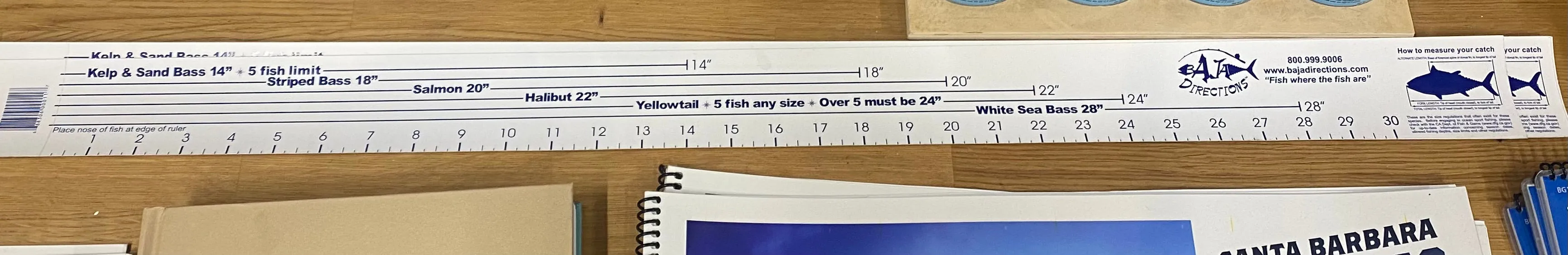 Fish Ruler Flat Vinyl