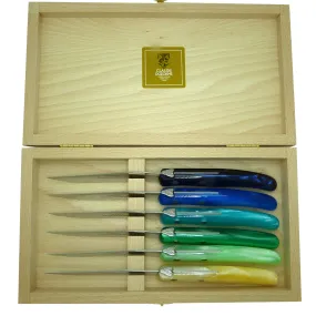 NEW Claude Dozorme Laguiole Steak Knife Gift Set of 6 Mixed Blue Green