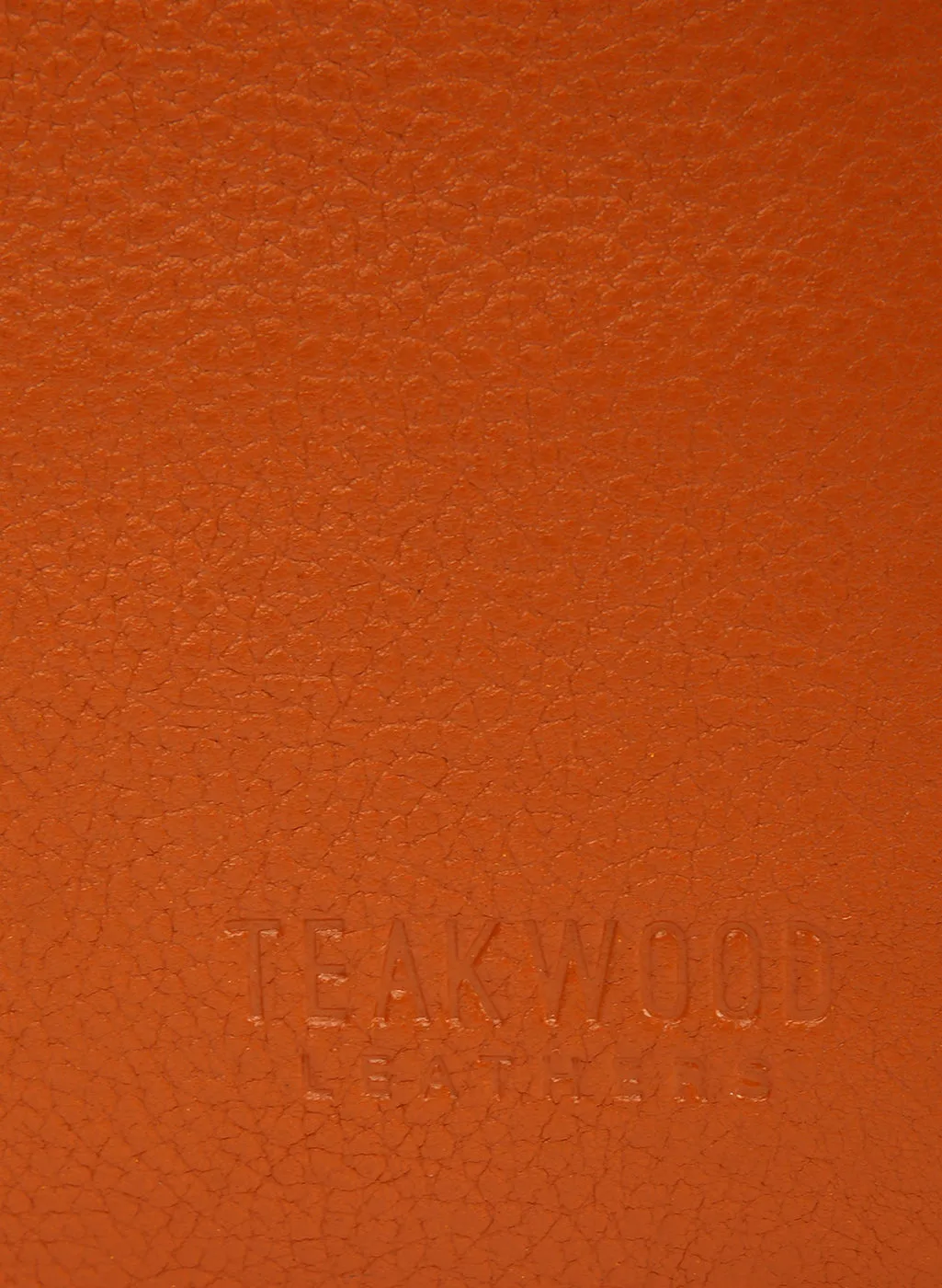 Teakwood Genuine Leathers Unisex Passport holder Solid Tan